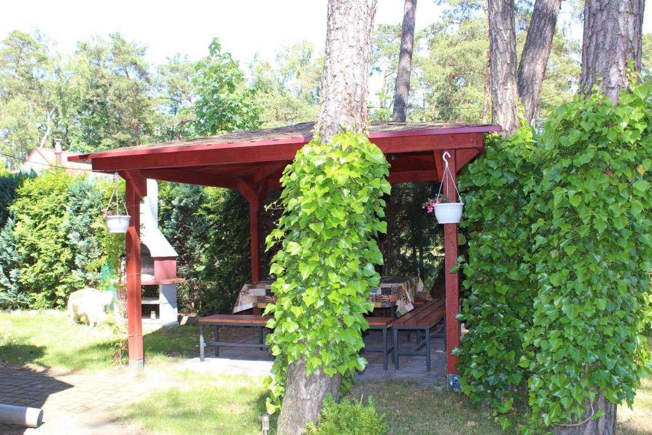Bed and Breakfast Dom Pod Sosnami Mielno  Esterno foto